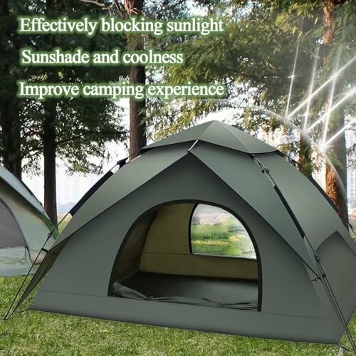 Großes Zelt im Wald mit Sonnenstrahlen