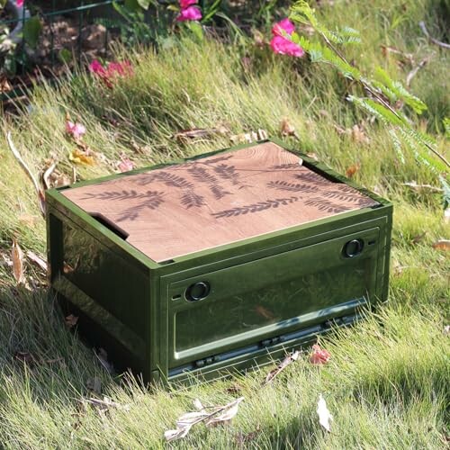 Holzkiste mit Farnmuster auf Gras